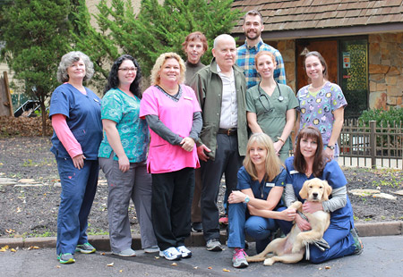 medford, nj animal hospital