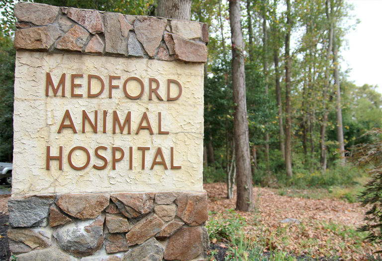 Hospital Tour | Medford Animal Hospital & Wellness Clinic
